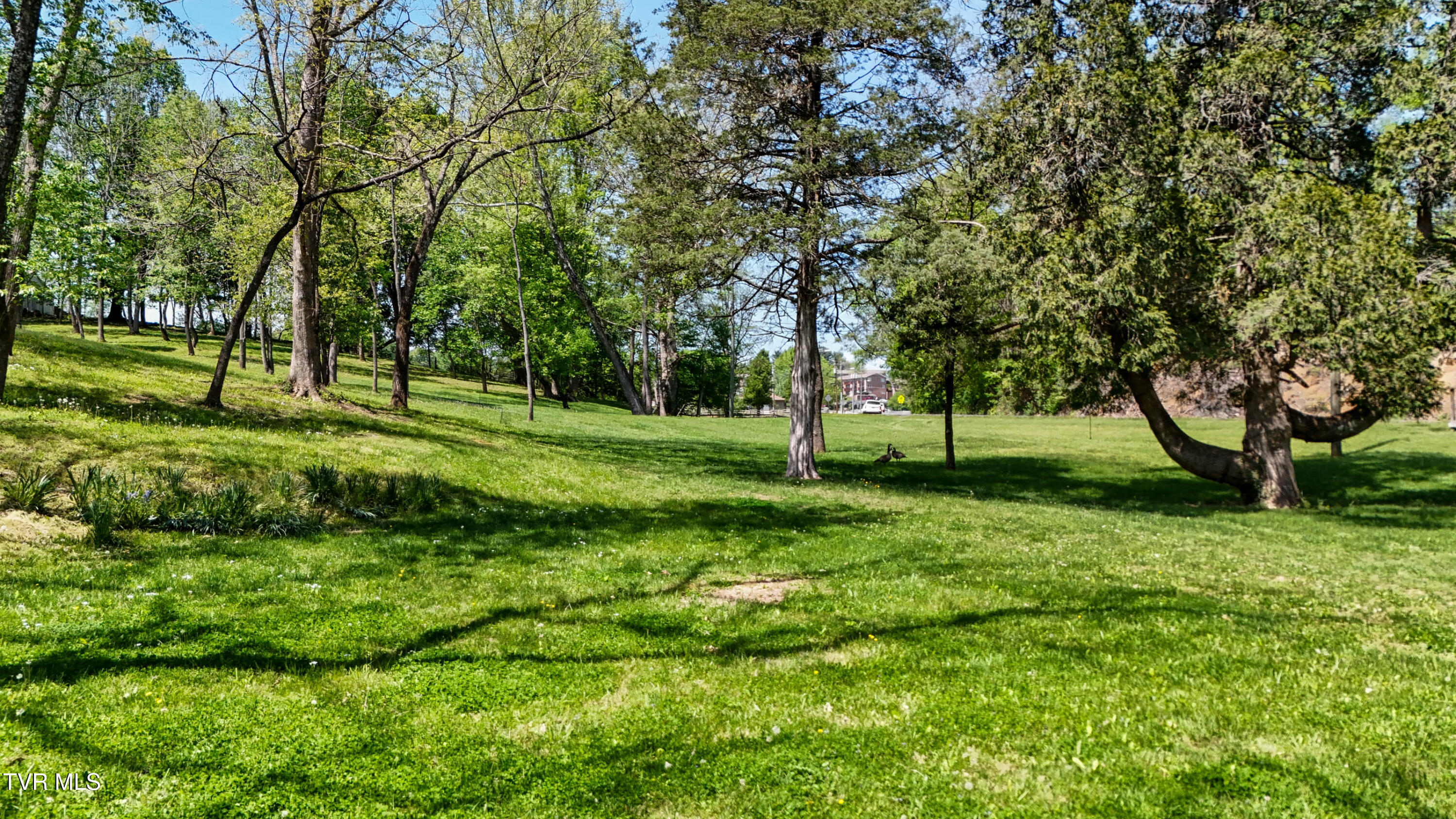 1912 King College Road, Bristol, Tennessee image 1