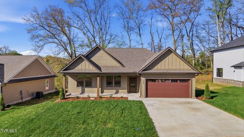 Photo of 329 Ty'S Place, Kingsport, TN 37663 (MLS # 9993728)