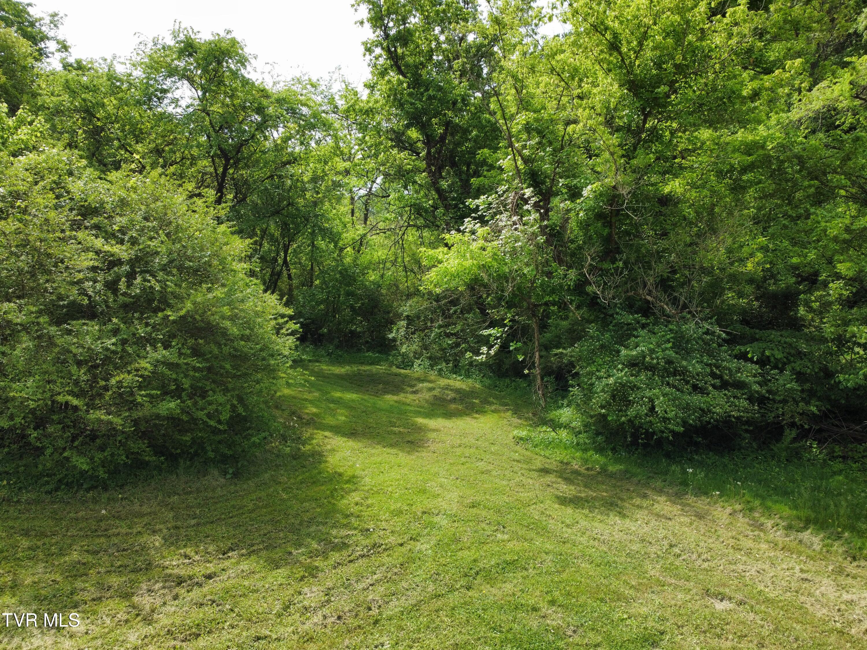 119 Red Row Rd Road, Johnson City, Tennessee image 9