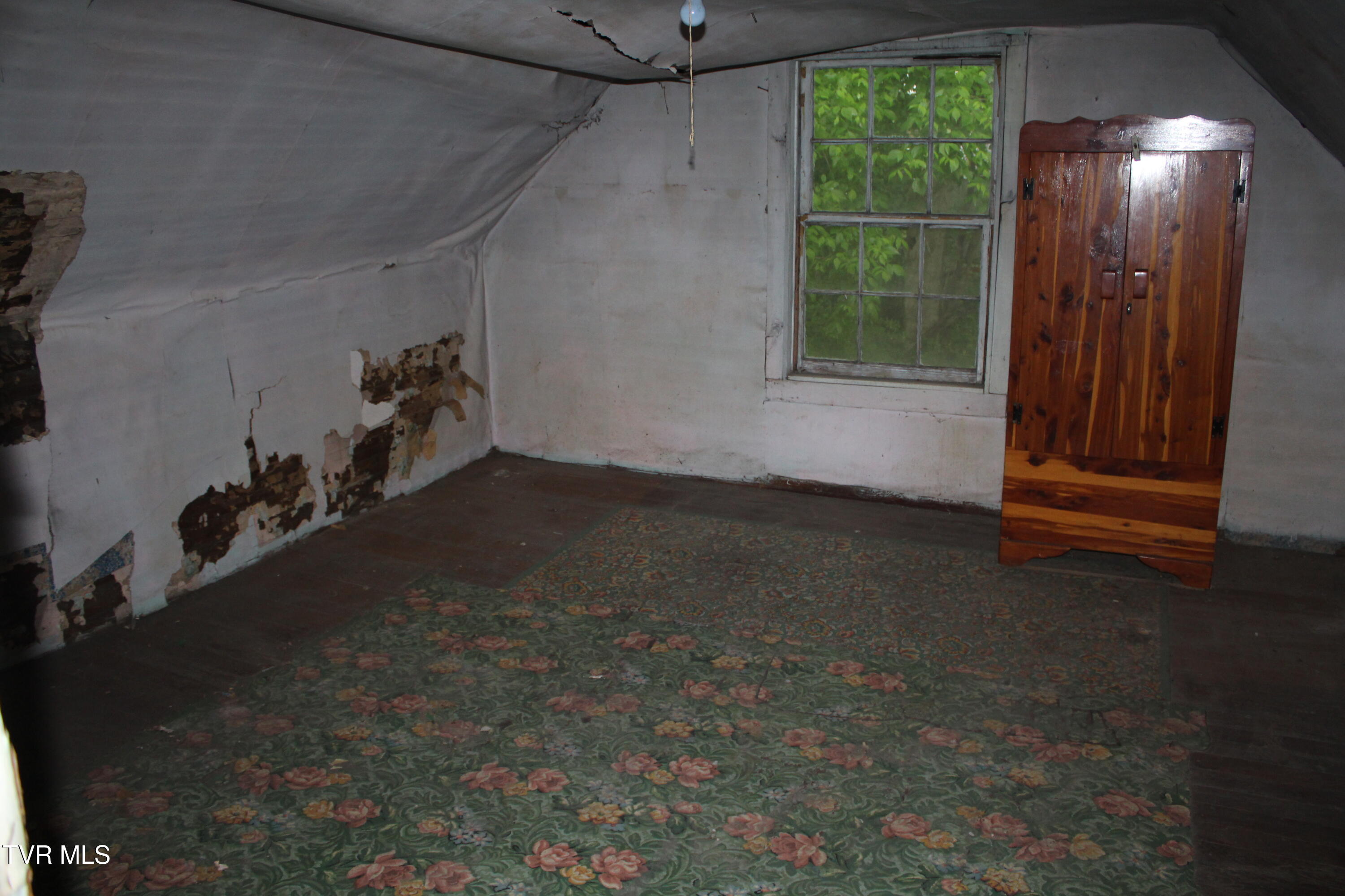 119 Red Row Rd Road, Johnson City, Tennessee image 17