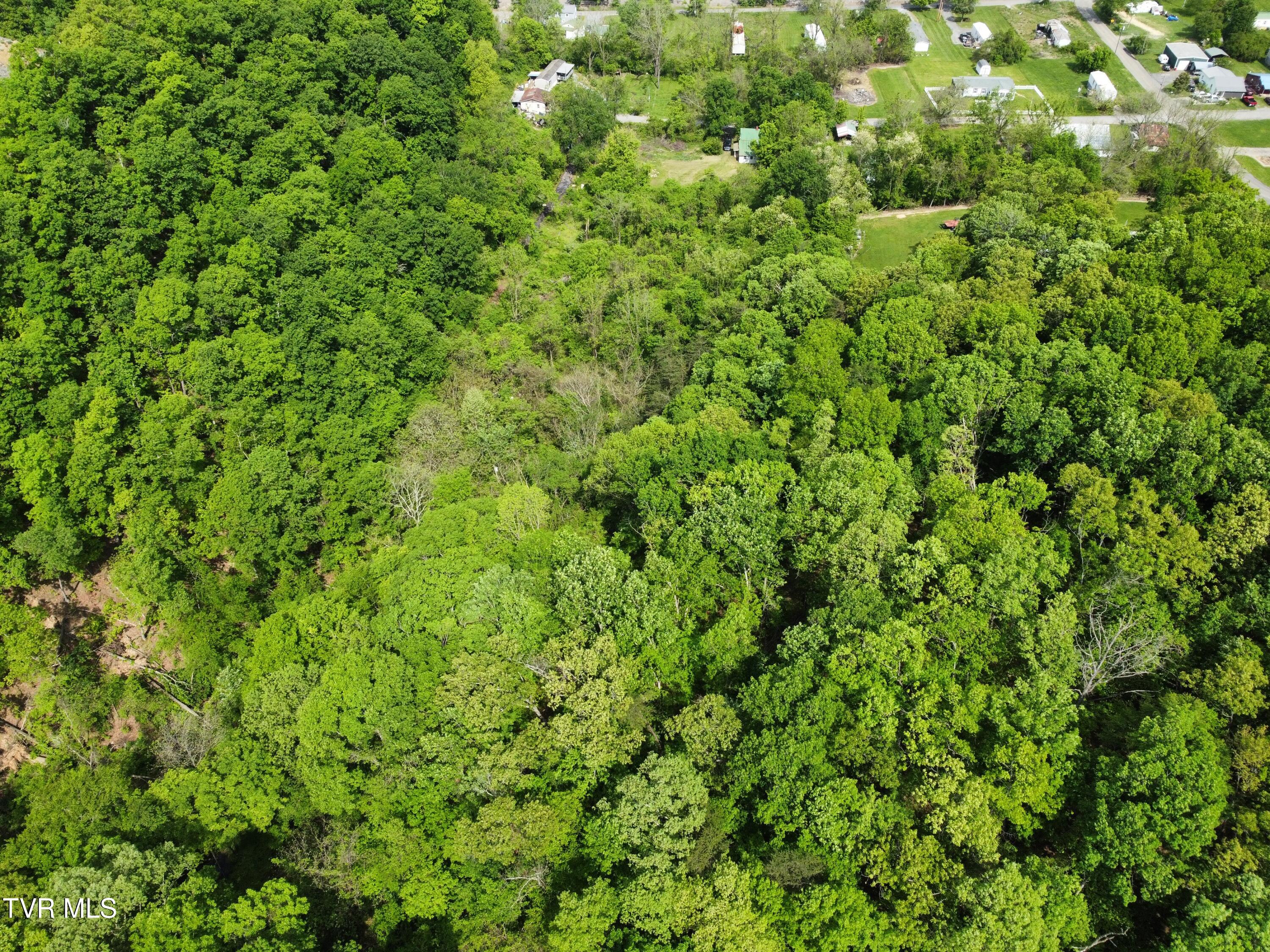 119 Red Row Rd Road, Johnson City, Tennessee image 8
