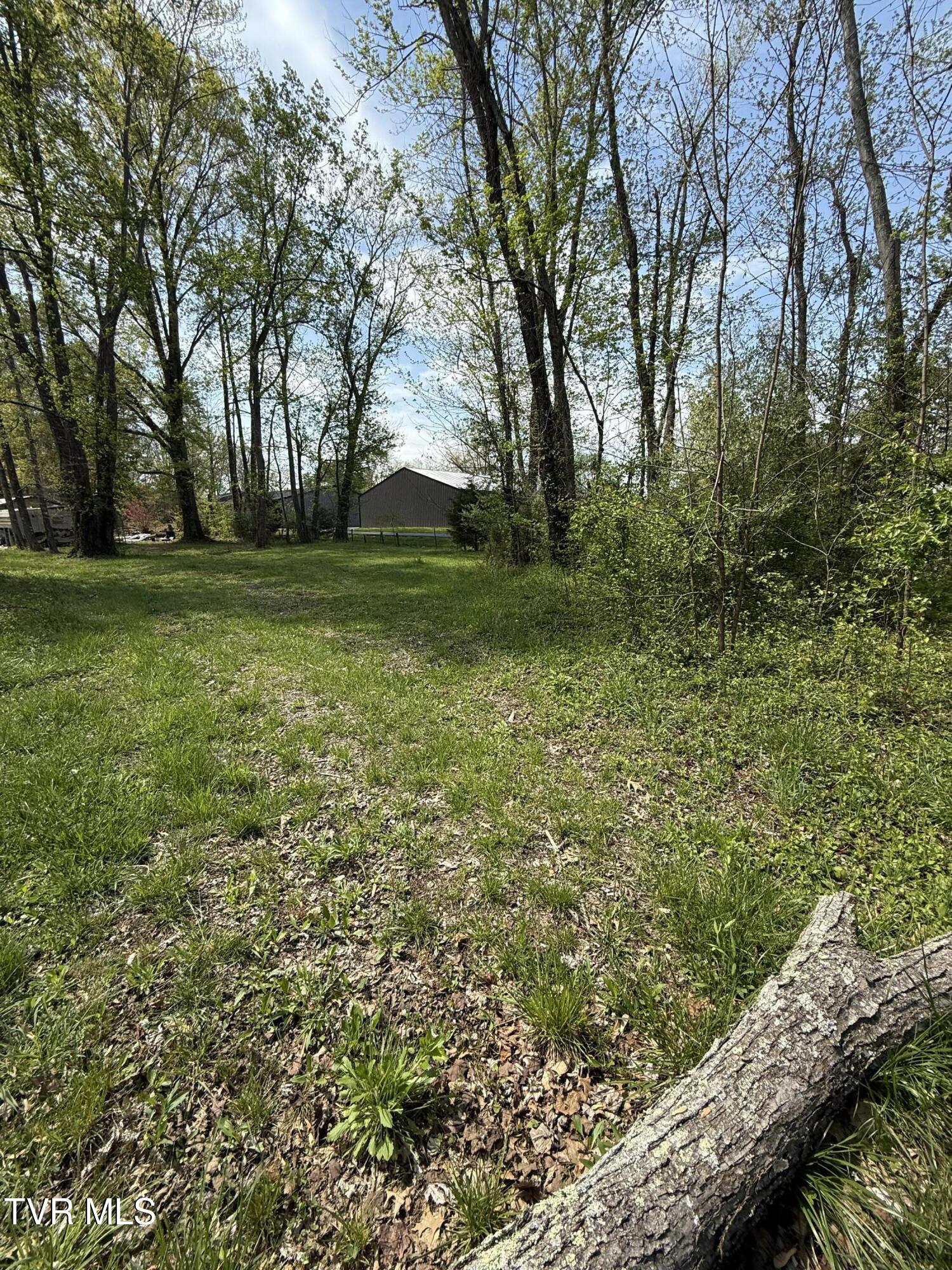 116 Tranbarger Road, Mount Carmel, Tennessee image 7