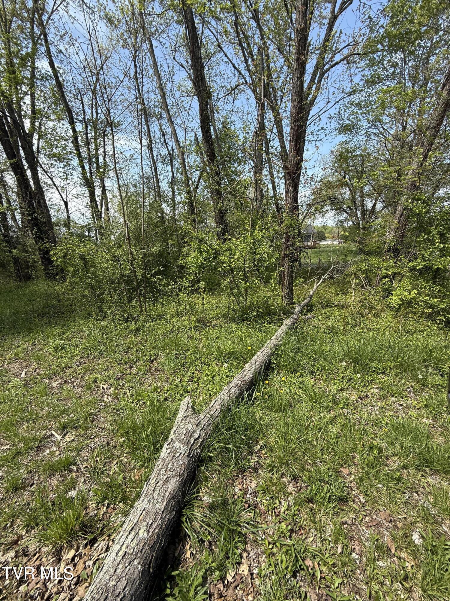 116 Tranbarger Road, Mount Carmel, Tennessee image 6