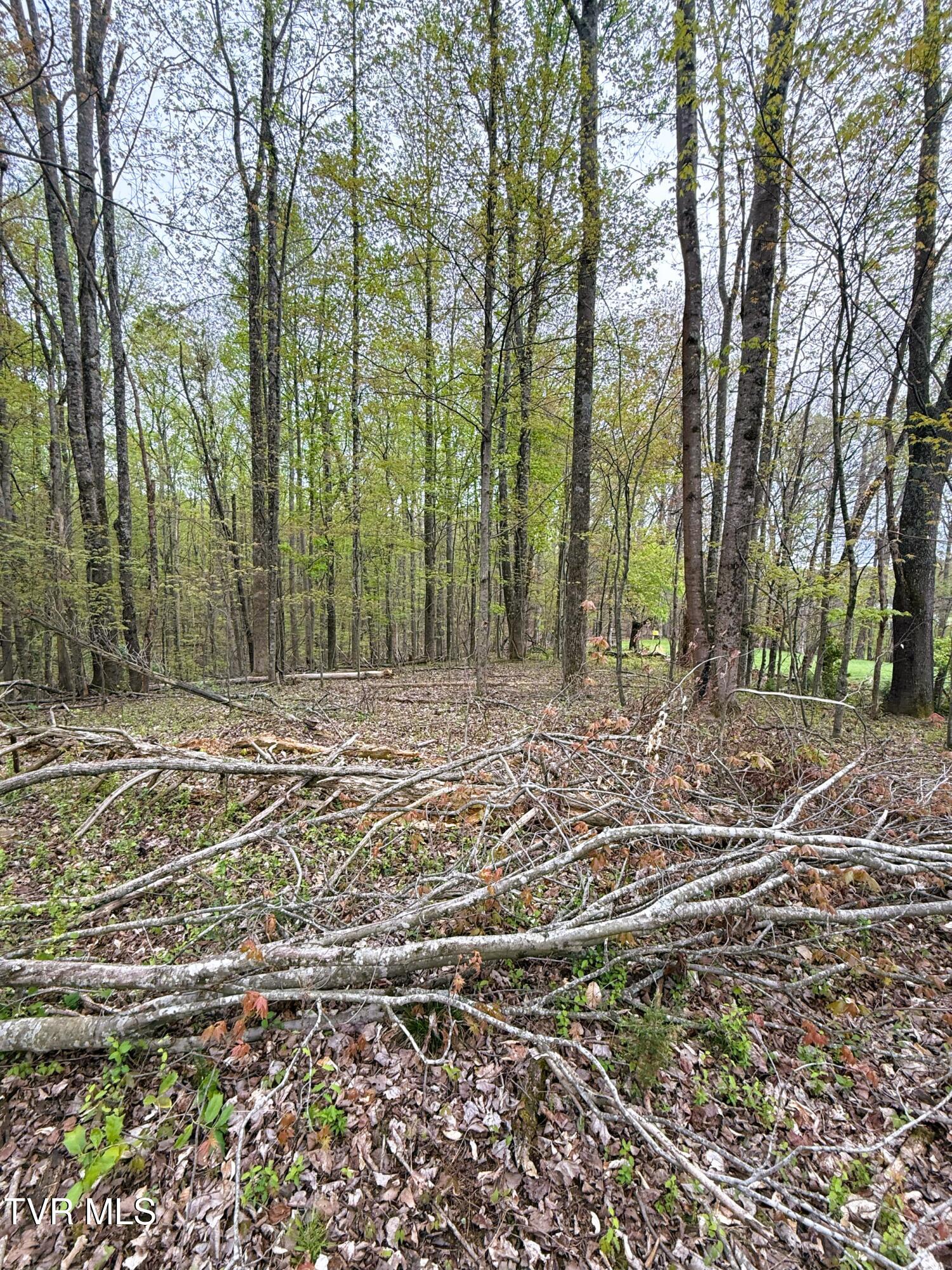 116 Tranbarger Road, Mount Carmel, Tennessee image 24