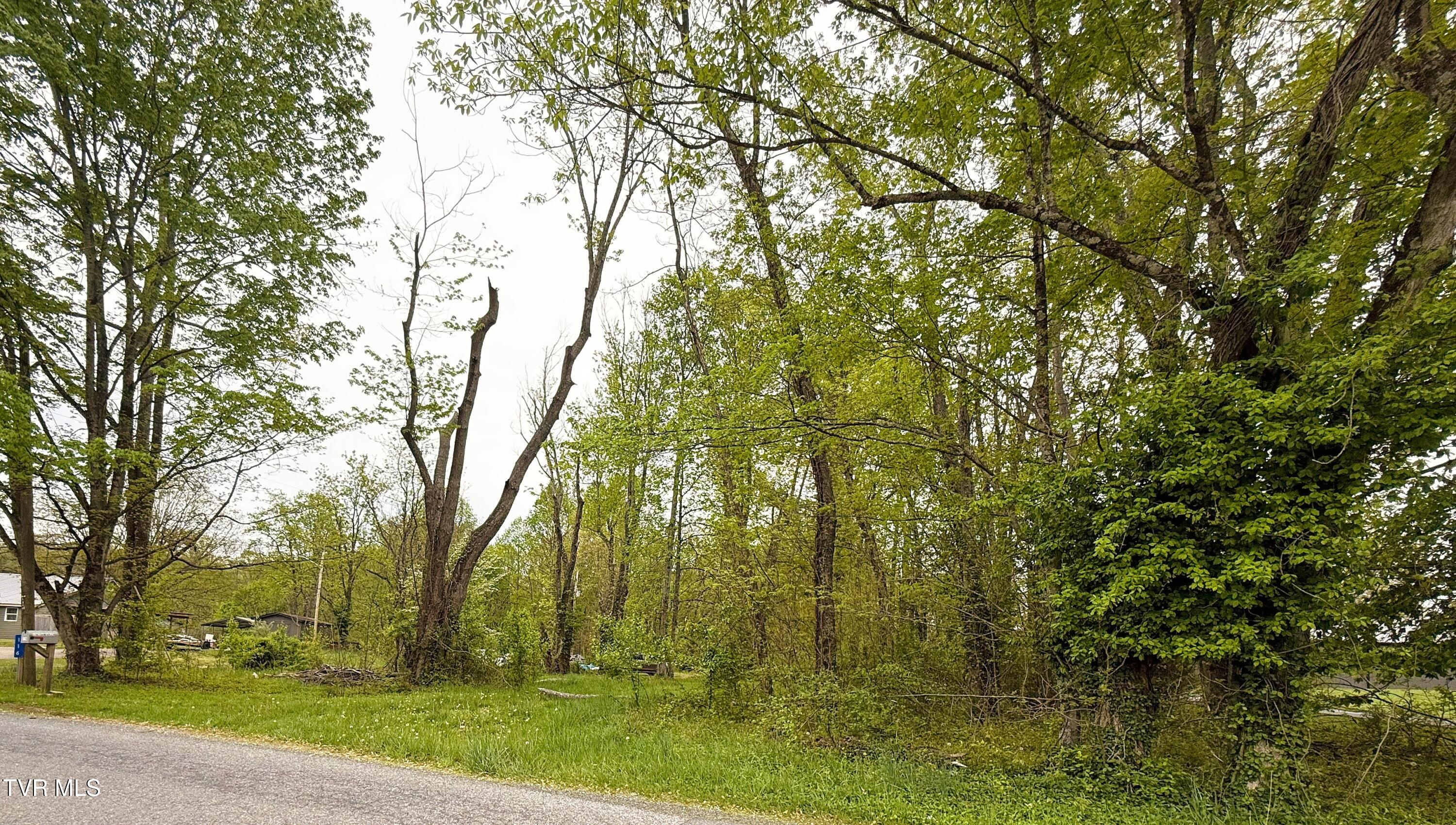 116 Tranbarger Road, Mount Carmel, Tennessee image 21