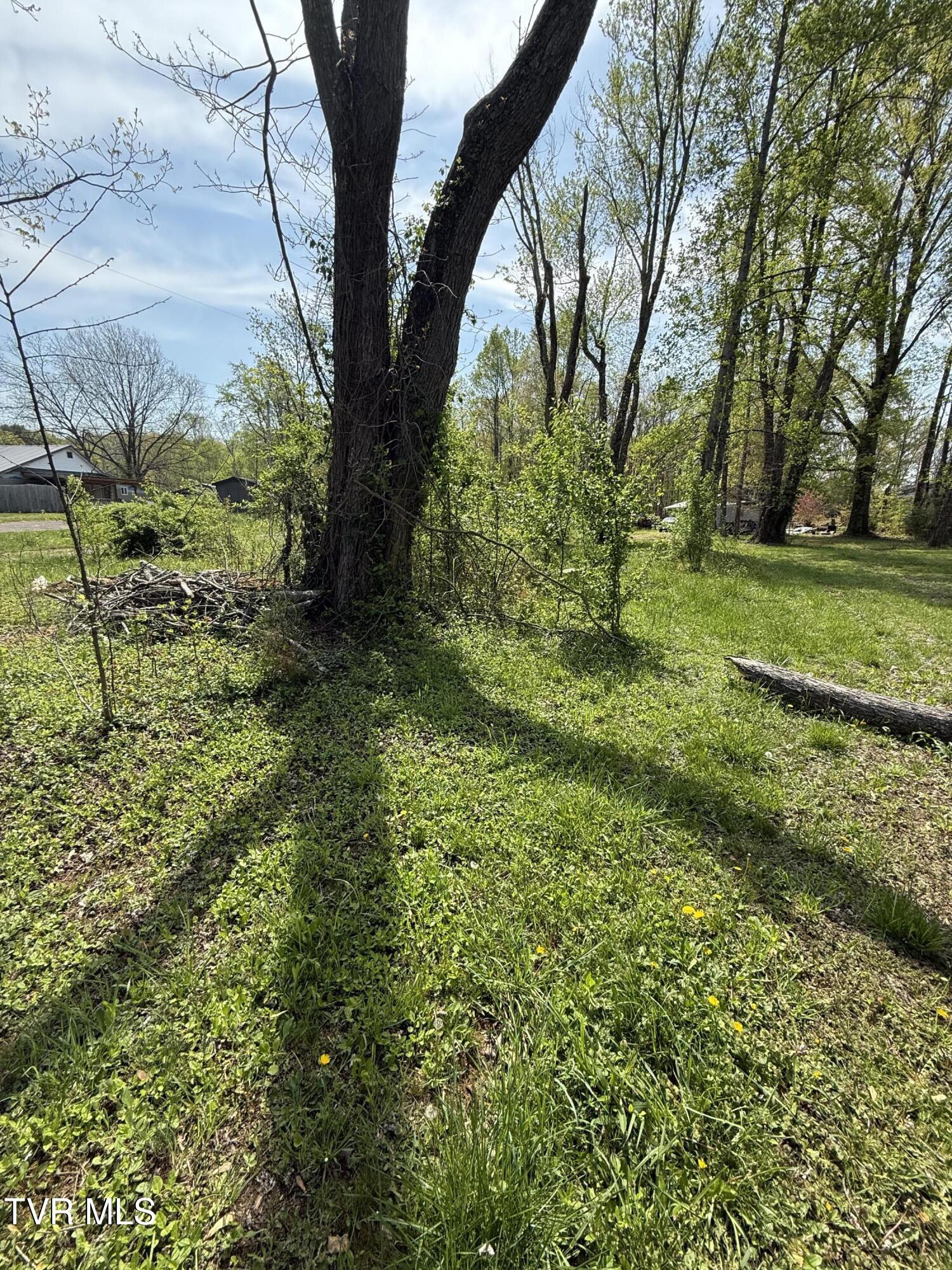 116 Tranbarger Road, Mount Carmel, Tennessee image 3