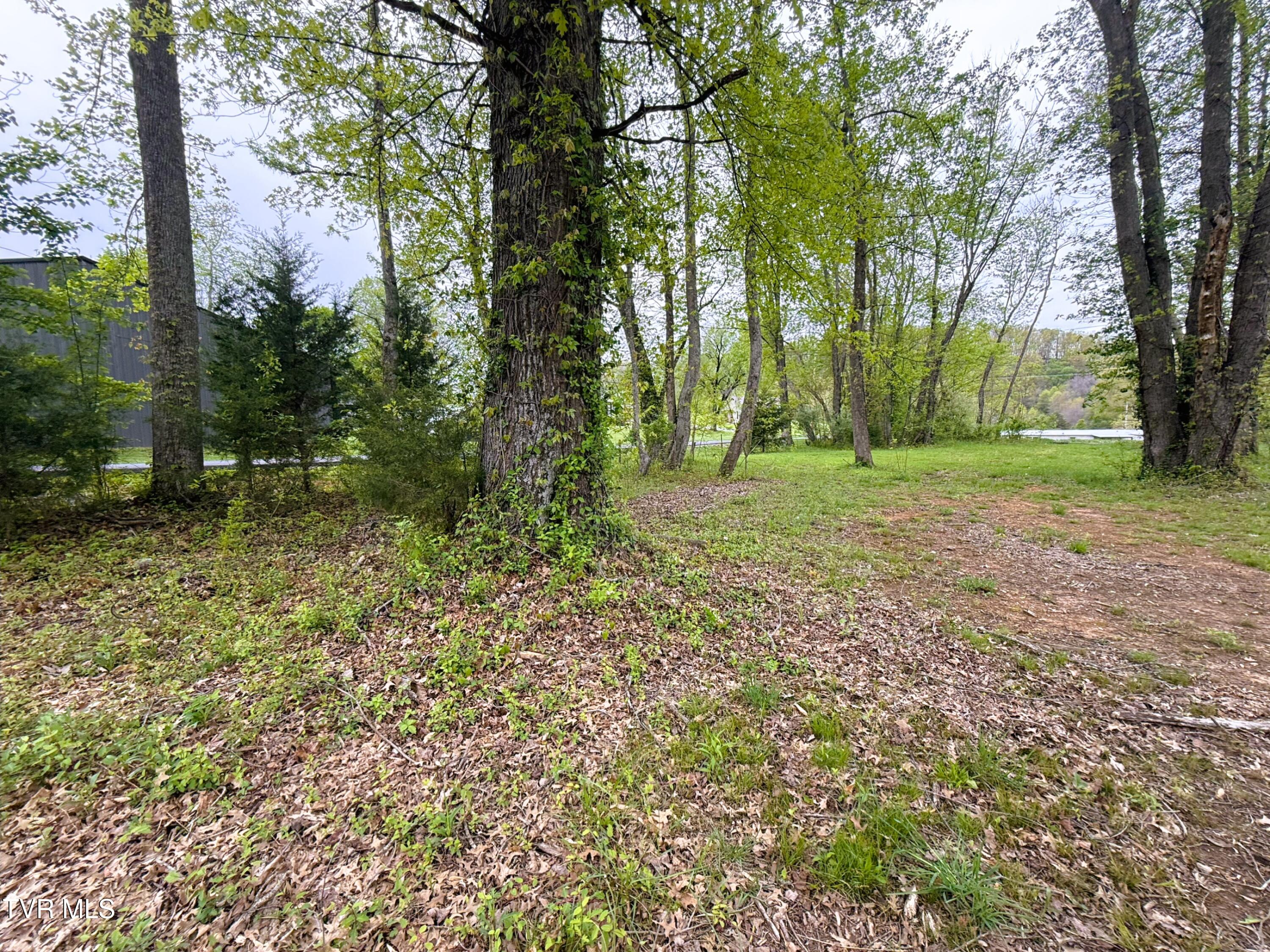 116 Tranbarger Road, Mount Carmel, Tennessee image 37