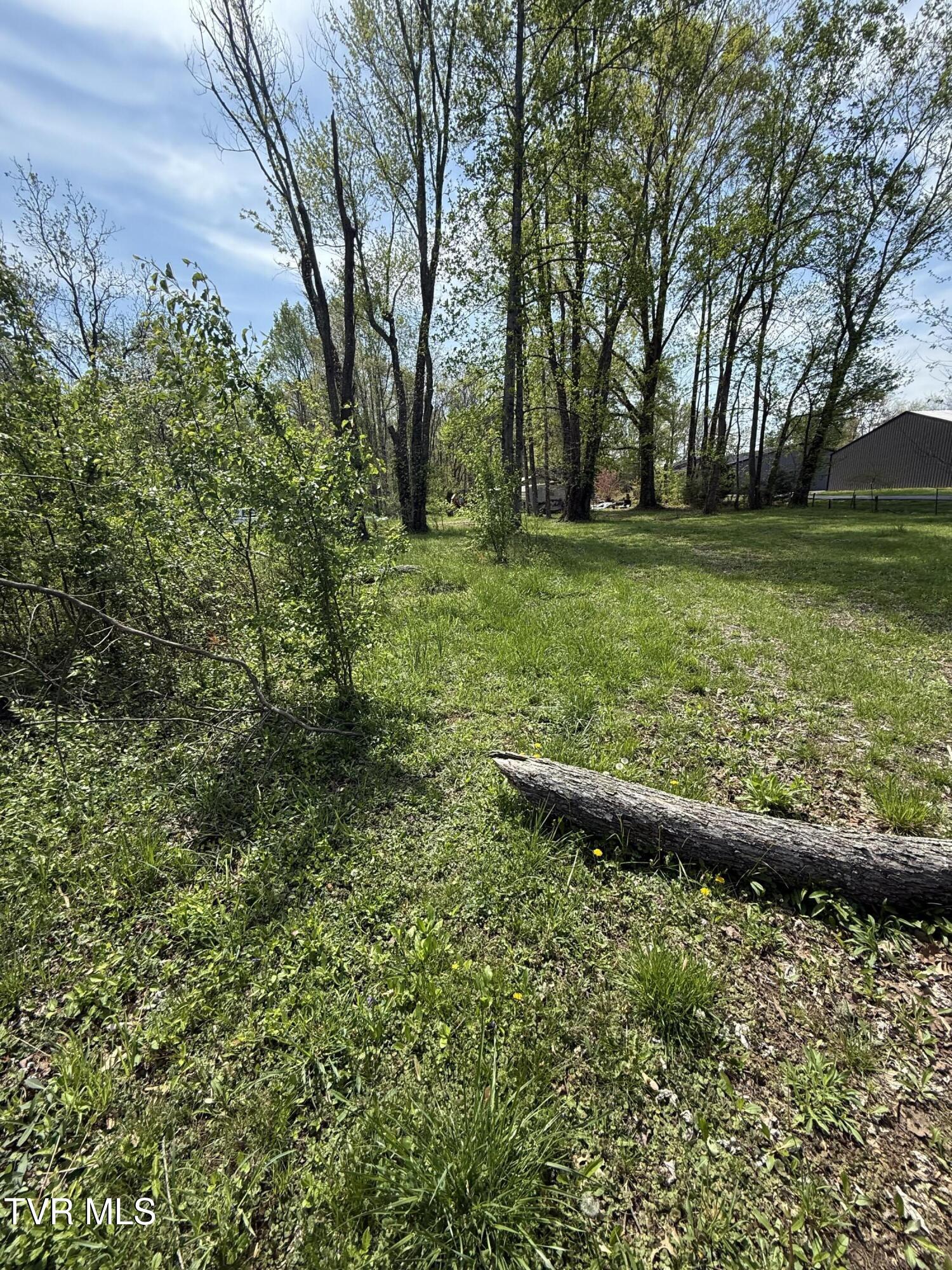 116 Tranbarger Road, Mount Carmel, Tennessee image 4
