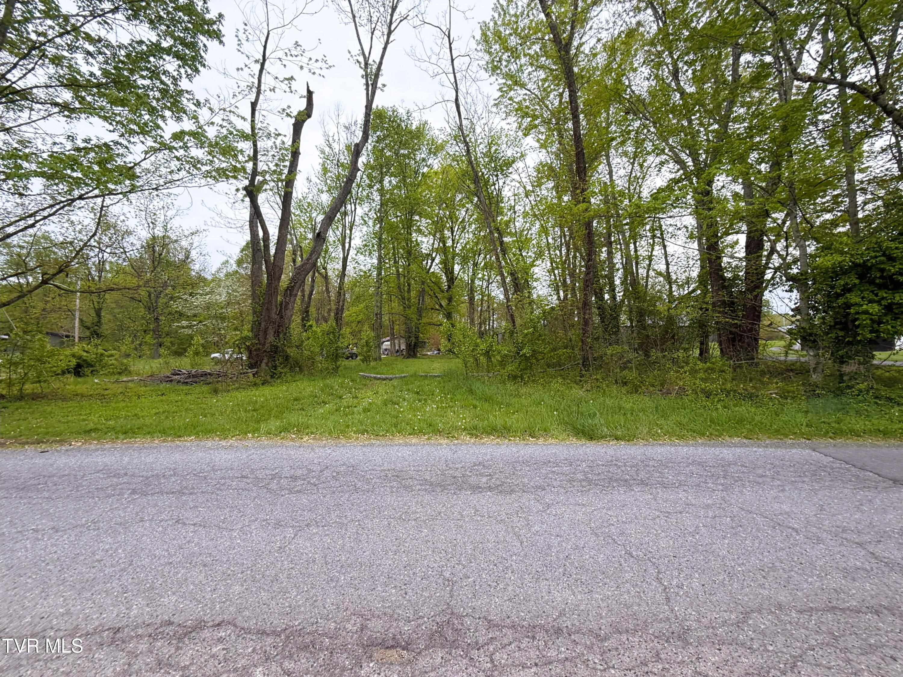 116 Tranbarger Road, Mount Carmel, Tennessee image 29