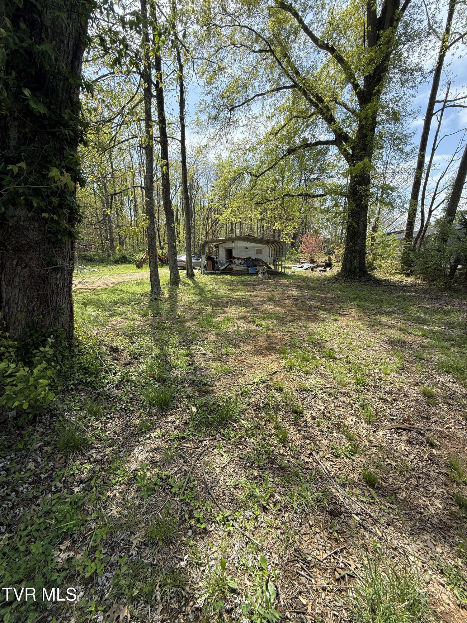 116 Tranbarger Road, Mount Carmel, Tennessee image 9