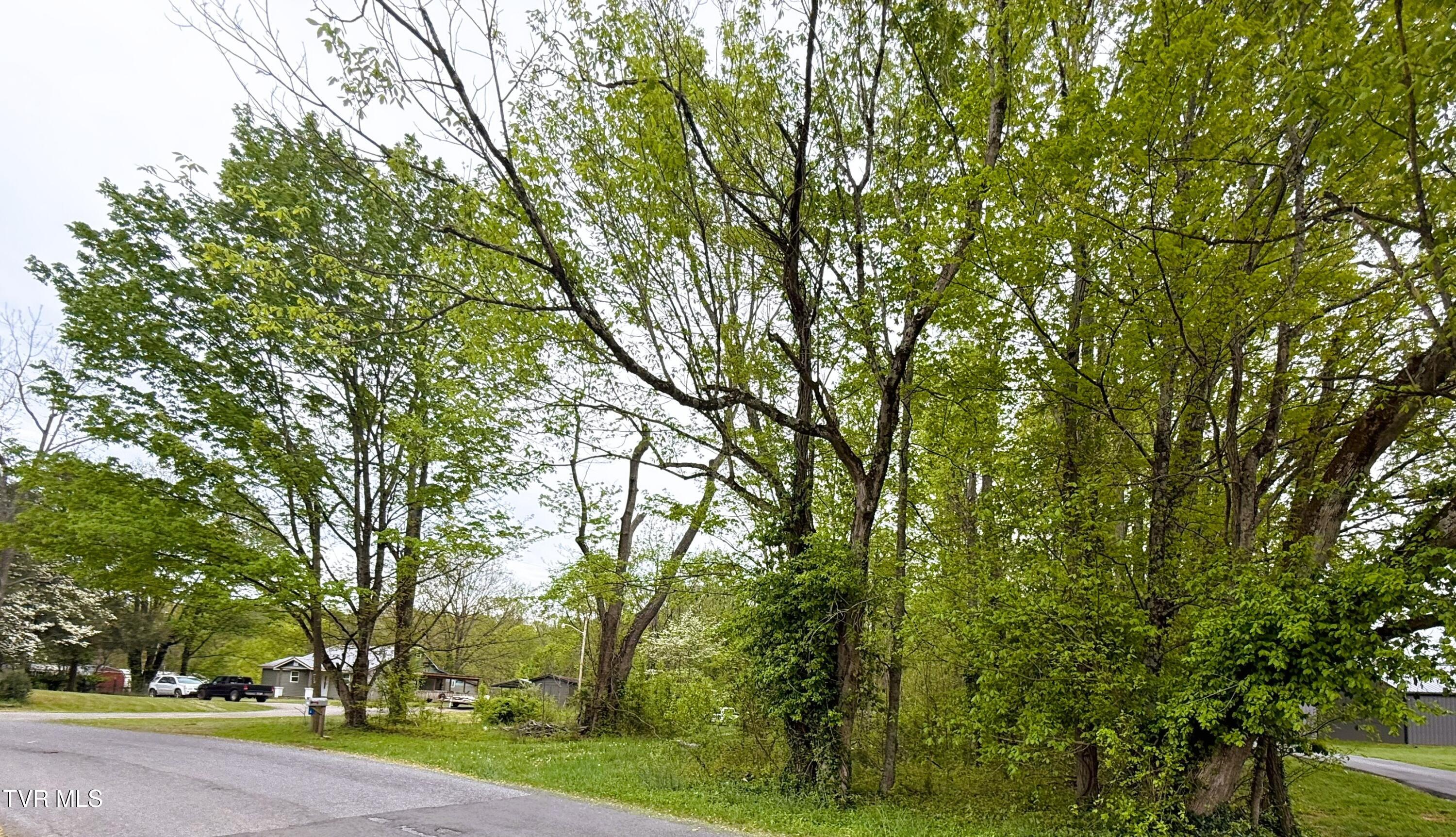 116 Tranbarger Road, Mount Carmel, Tennessee image 23