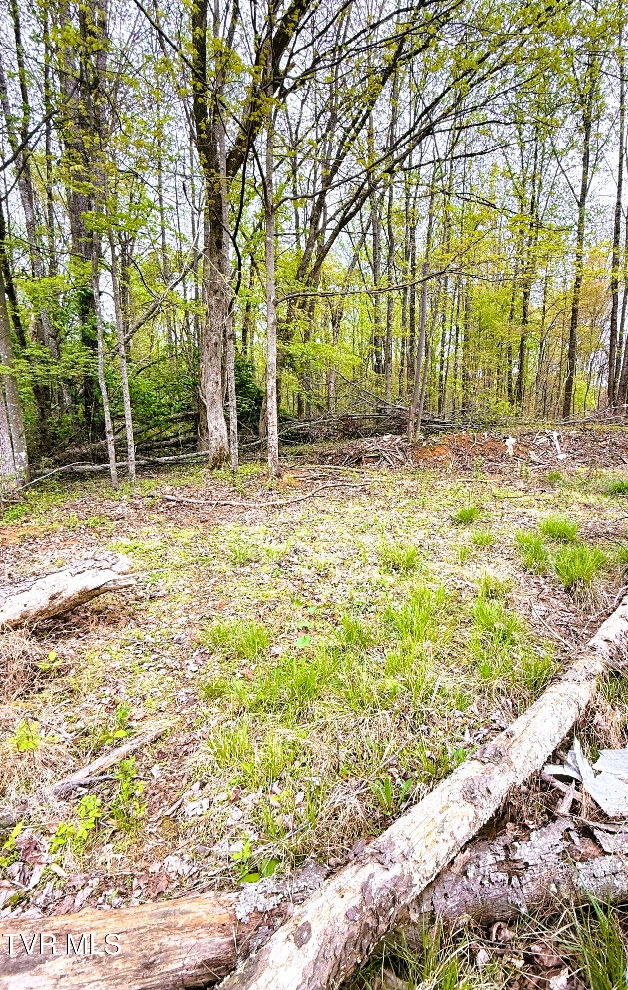 116 Tranbarger Road, Mount Carmel, Tennessee image 16