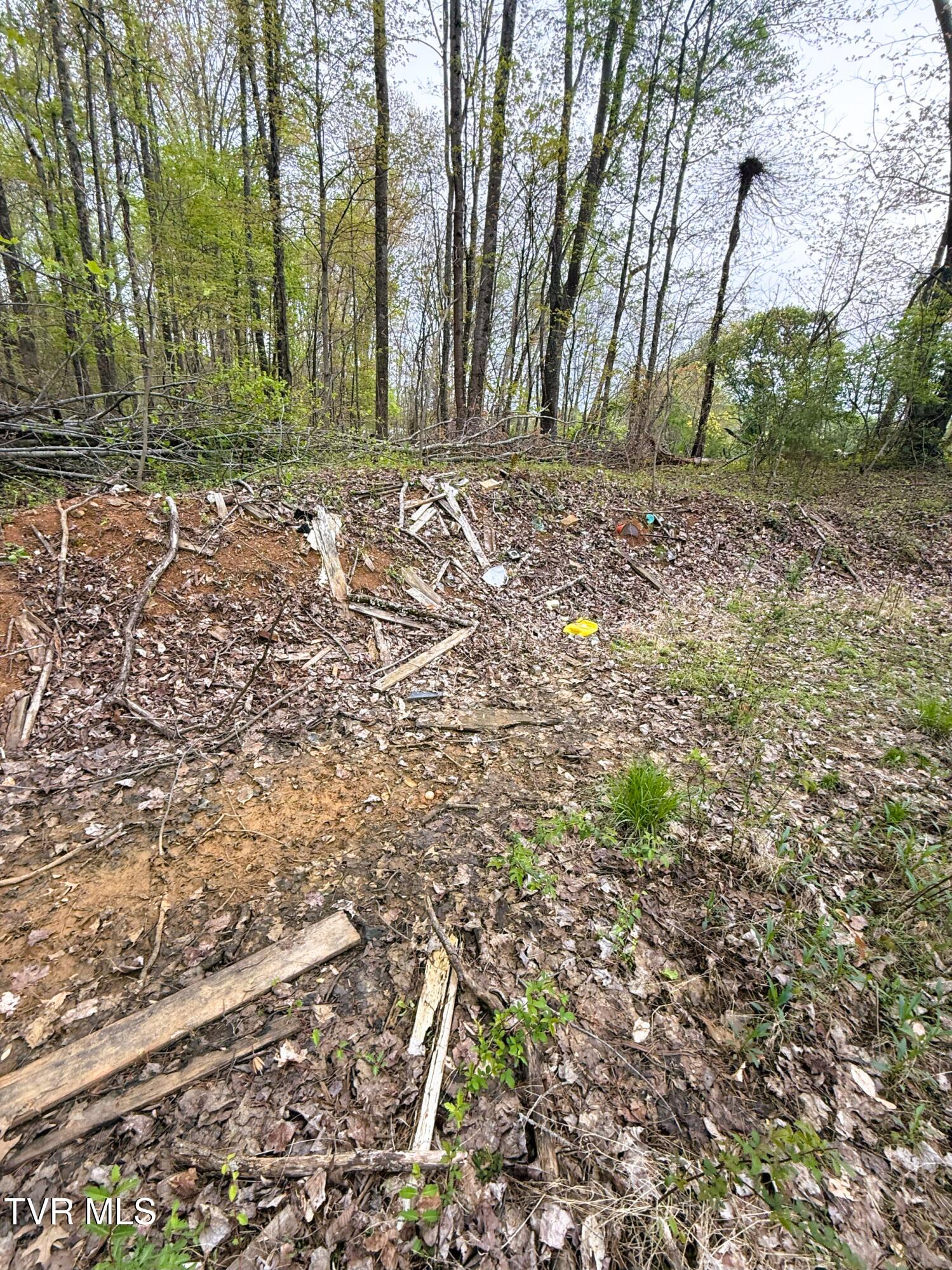 116 Tranbarger Road, Mount Carmel, Tennessee image 22