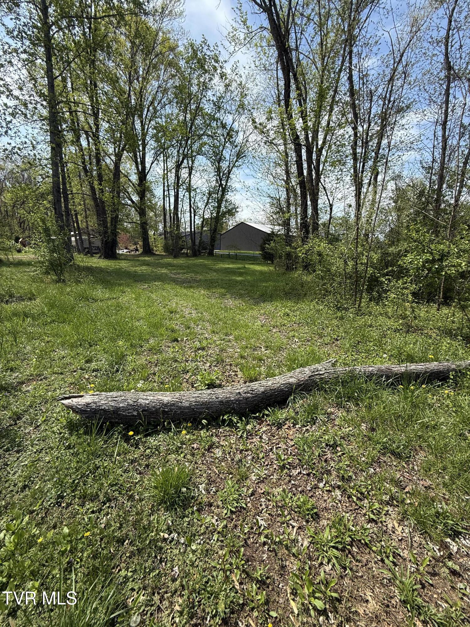 116 Tranbarger Road, Mount Carmel, Tennessee image 5