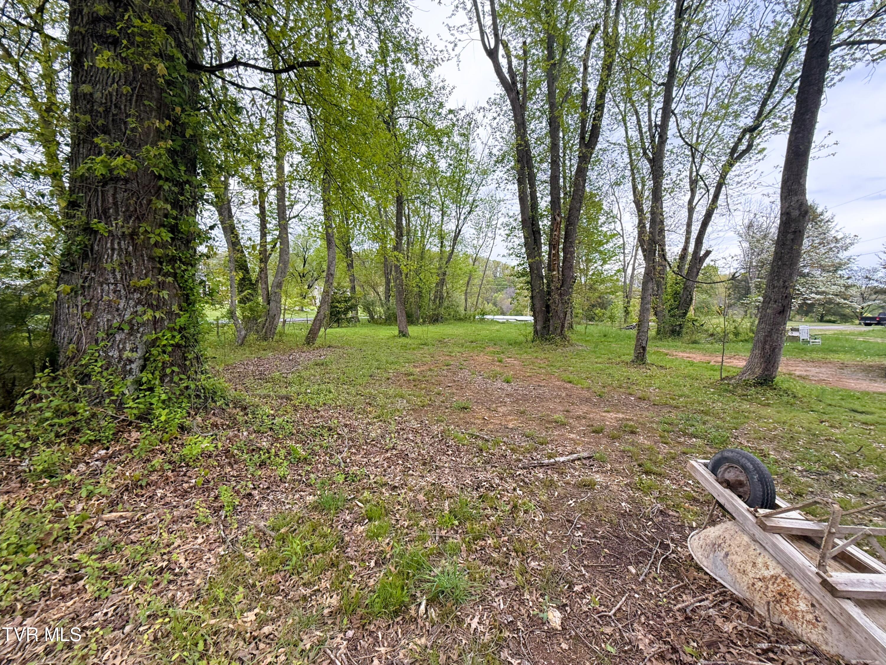 116 Tranbarger Road, Mount Carmel, Tennessee image 36