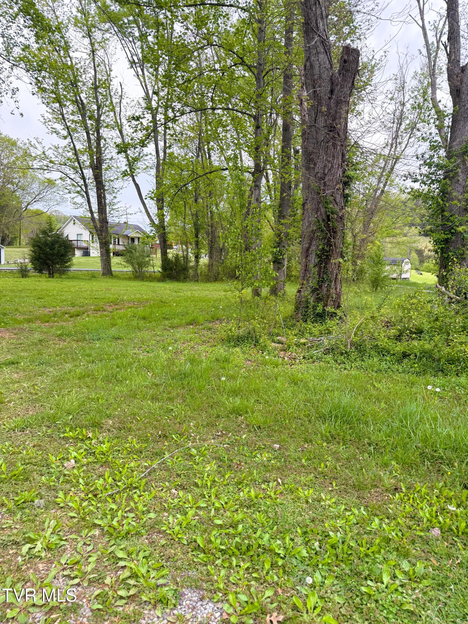 116 Tranbarger Road, Mount Carmel, Tennessee image 11