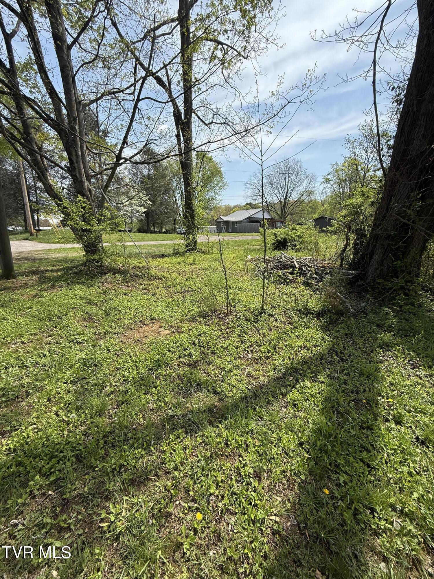 116 Tranbarger Road, Mount Carmel, Tennessee image 2