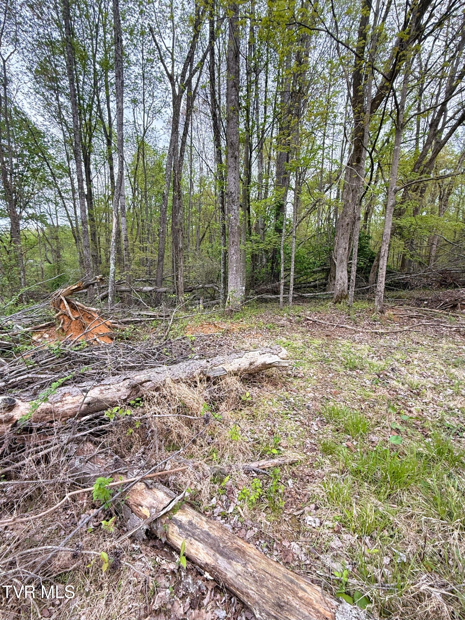 116 Tranbarger Road, Mount Carmel, Tennessee image 18