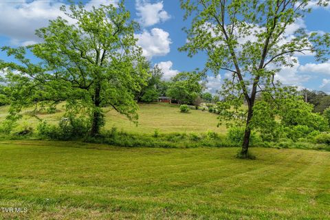 Photo of 630 Briar Patch Lane, Greeneville, TN 37745 (MLS # 9995860)