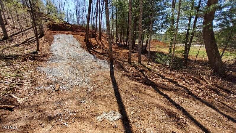 101 Homestead Drive, Unicoi, Tennessee image 16