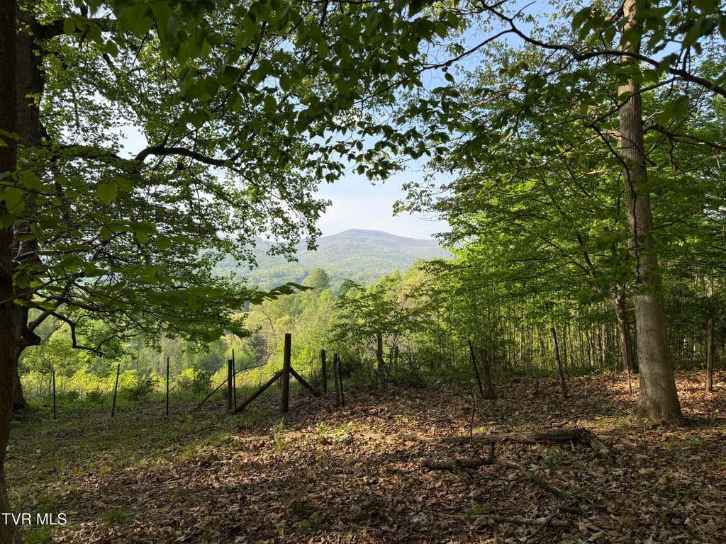 Photo of Tbd Bobs Hollow Road #Lot 4, Elizabethton, TN 37643 (MLS # 9996228)