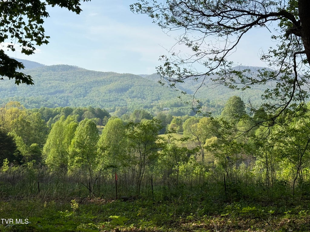 Photo of Tbd Bobs Hollow Road #Lot 4, Elizabethton, TN 37643 (MLS # 9996228)
