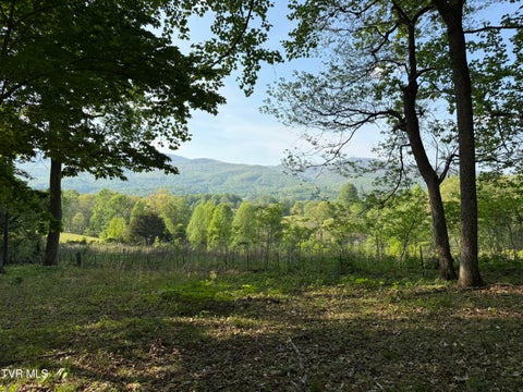 Vacant Land For Sale - TBD Bobs Hollow Road #LOT 4<br/> Elizabethton, TN 37643