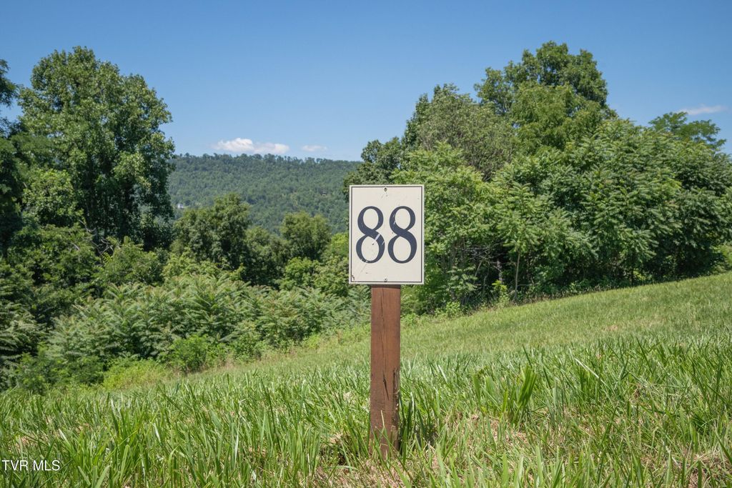 Photo of Tbd Summerfield Drive, Butler, TN 37640 (MLS # 9998634)