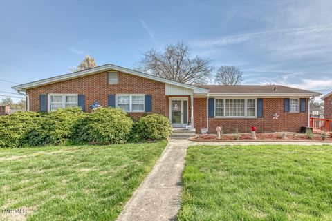 Photo of 609 Hollyhill Road, Johnson City, TN 37604 (MLS # 9992397)