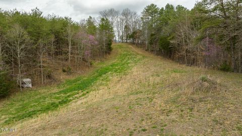 Tiny photo for 8651 Tazewell Highway, Sneedville, TN 37869 (MLS # 9978415)