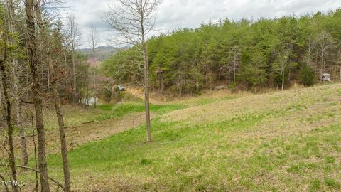 Tiny photo for 8651 Tazewell Highway, Sneedville, TN 37869 (MLS # 9978415)