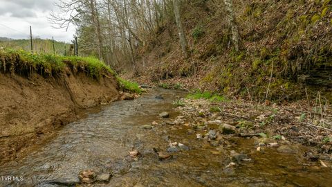 Tiny photo for 8651 Tazewell Highway, Sneedville, TN 37869 (MLS # 9978415)