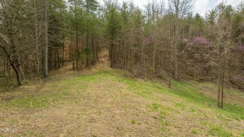 Tiny photo for 8651 Tazewell Highway, Sneedville, TN 37869 (MLS # 9978415)