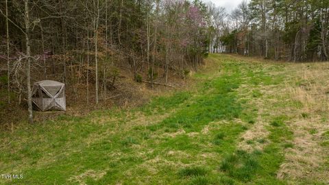 Tiny photo for 8651 Tazewell Highway, Sneedville, TN 37869 (MLS # 9978415)
