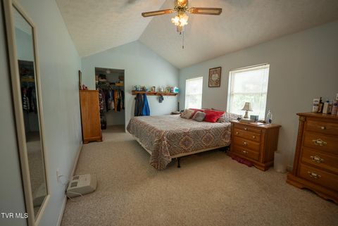 Tiny photo for 8651 Tazewell Highway, Sneedville, TN 37869 (MLS # 9978415)