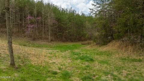 Tiny photo for 8651 Tazewell Highway, Sneedville, TN 37869 (MLS # 9978415)