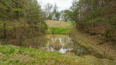 Tiny photo for 8651 Tazewell Highway, Sneedville, TN 37869 (MLS # 9978415)