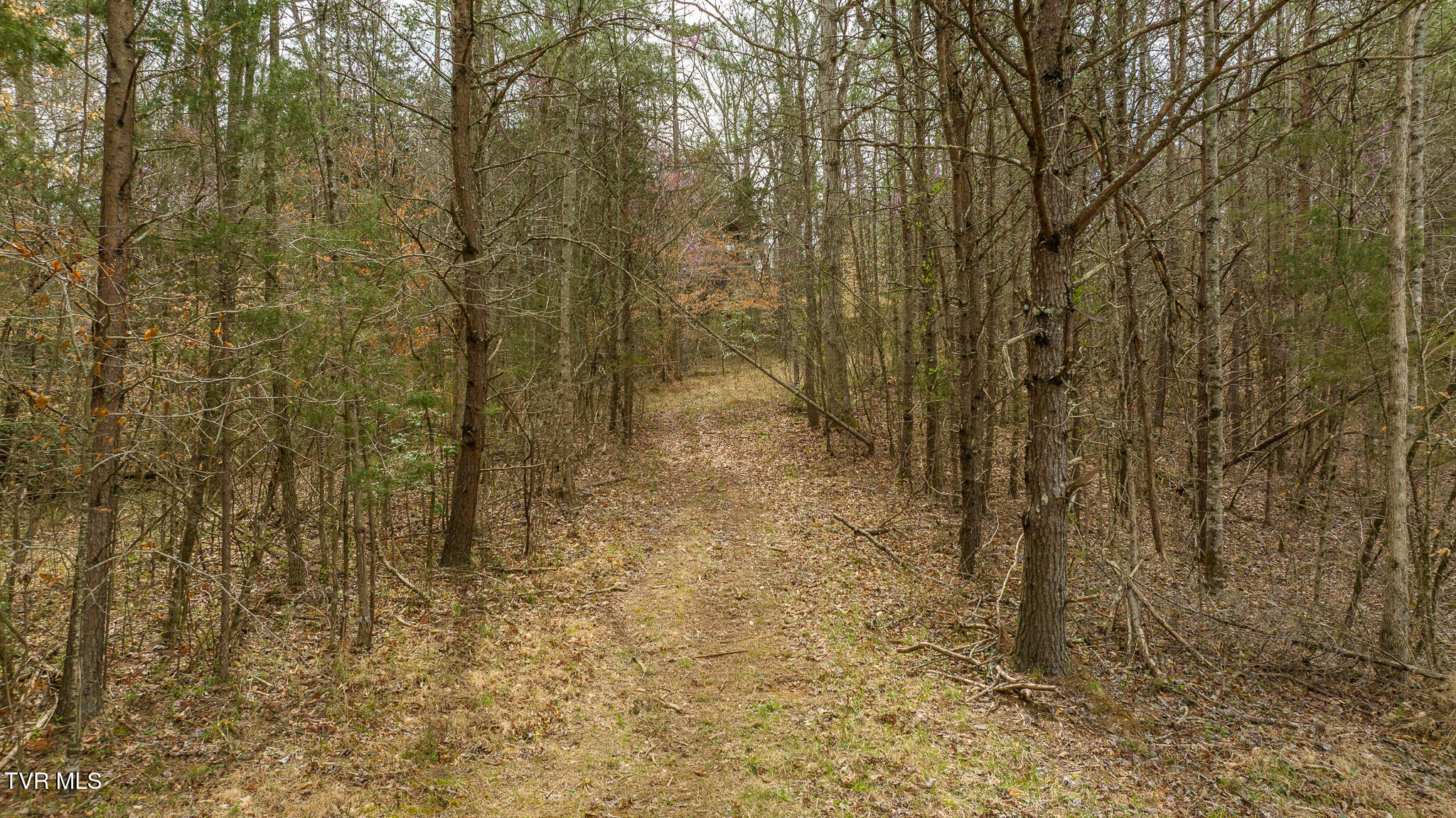 8651 Tazewell Highway, Sneedville, Tennessee image 35
