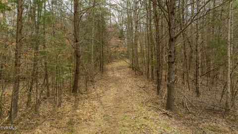 Tiny photo for 8651 Tazewell Highway, Sneedville, TN 37869 (MLS # 9978415)