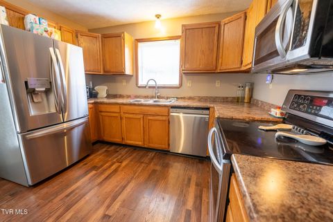 Tiny photo for 8651 Tazewell Highway, Sneedville, TN 37869 (MLS # 9978415)
