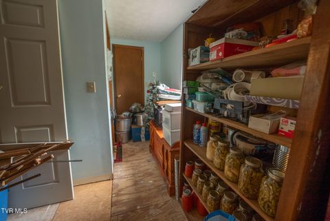 Tiny photo for 8651 Tazewell Highway, Sneedville, TN 37869 (MLS # 9978415)