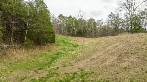 Tiny photo for 8651 Tazewell Highway, Sneedville, TN 37869 (MLS # 9978415)