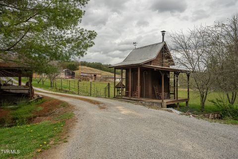 Tiny photo for 8651 Tazewell Highway, Sneedville, TN 37869 (MLS # 9978415)