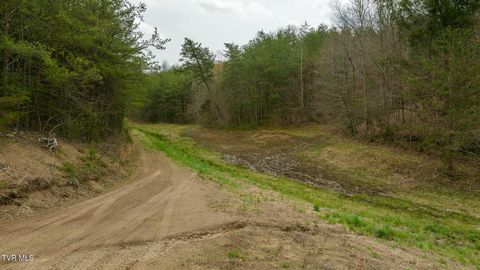 Tiny photo for 8651 Tazewell Highway, Sneedville, TN 37869 (MLS # 9978415)