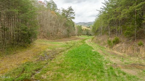 Tiny photo for 8651 Tazewell Highway, Sneedville, TN 37869 (MLS # 9978415)