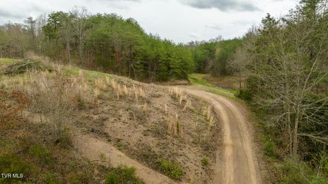 Tiny photo for 8651 Tazewell Highway, Sneedville, TN 37869 (MLS # 9978415)