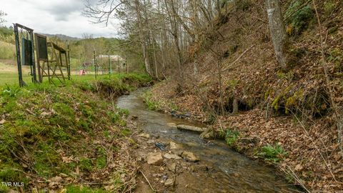 Tiny photo for 8651 Tazewell Highway, Sneedville, TN 37869 (MLS # 9978415)