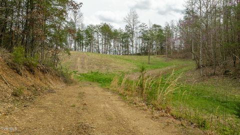 Tiny photo for 8651 Tazewell Highway, Sneedville, TN 37869 (MLS # 9978415)