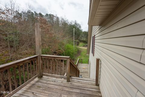 Tiny photo for 8651 Tazewell Highway, Sneedville, TN 37869 (MLS # 9978415)