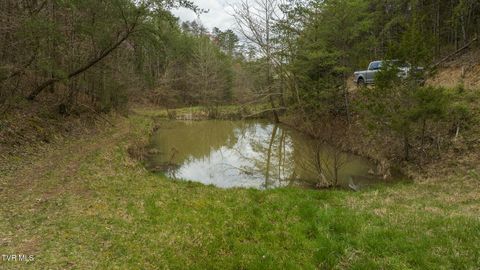 Tiny photo for 8651 Tazewell Highway, Sneedville, TN 37869 (MLS # 9978415)